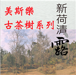 新荷清露 - 美斯樂千年古茶樹系列