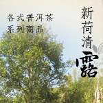 新荷清露 - 各式普洱茶系列